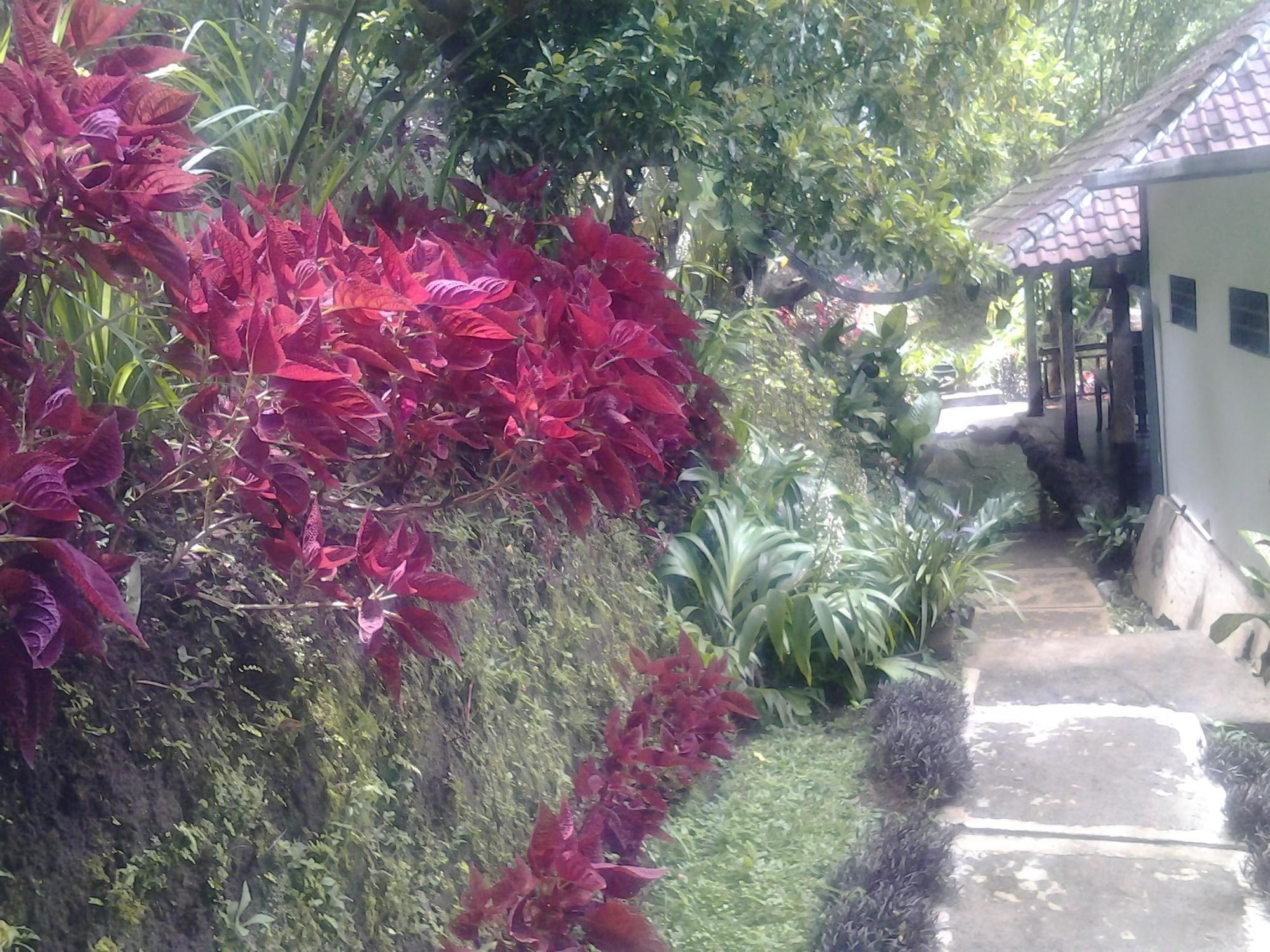 Bali Rahayu Séjour chez l'habitant *